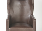 2302-1 FEATURE CHAIR